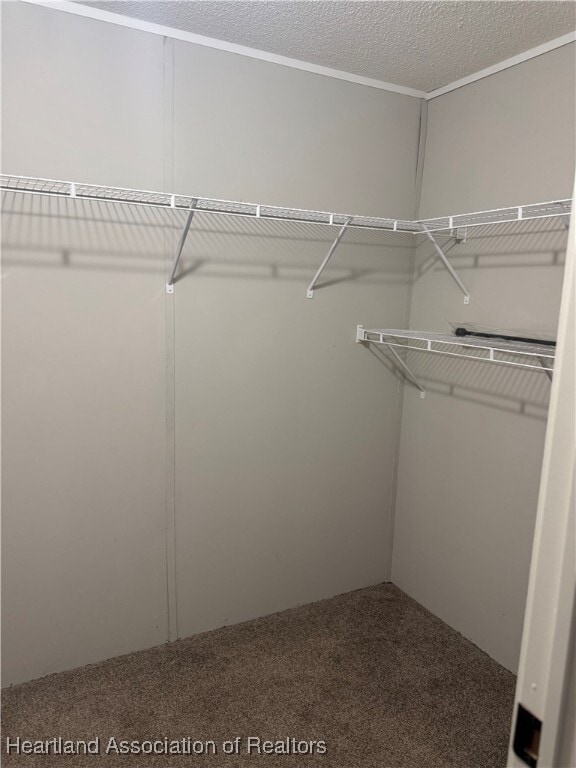 Building Photo - 9127 Morgan Path