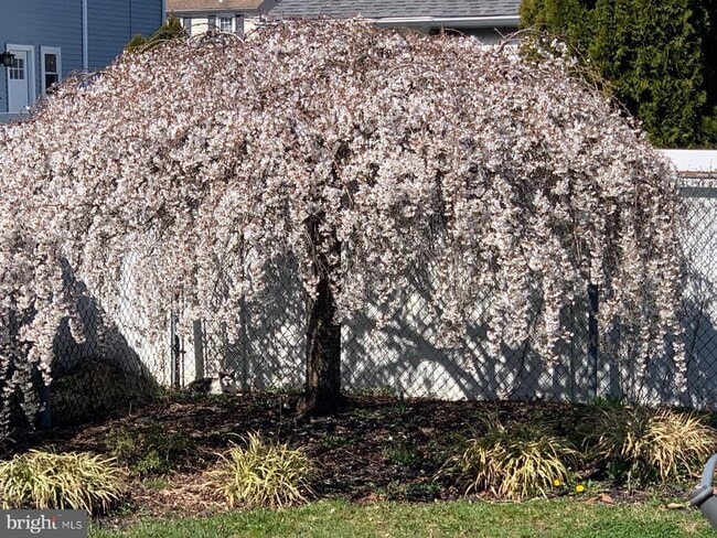 Building Photo - 318 Brentwood Ave