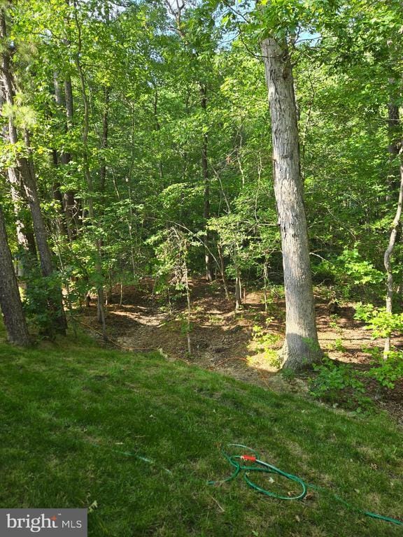Building Photo - 803 Blue Wing Ct