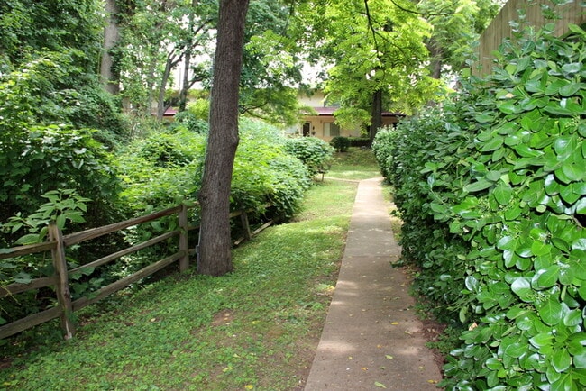 Building Photo - 1 Bed / 1 Bath Renovated Condo in South Nashville! Close to laundry! Surrounded by woods!