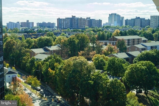 Building Photo - 3101 N Hampton Dr