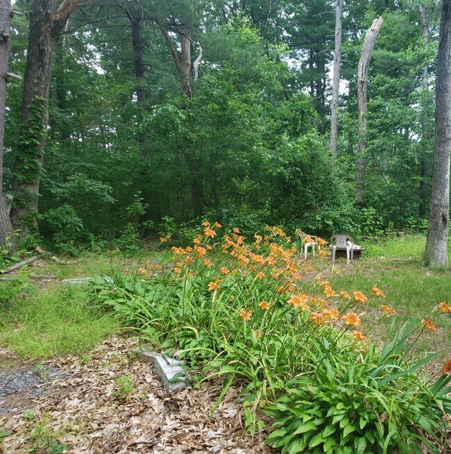 Backyard with Grilling Area & Fire Pit - 27 Pine St