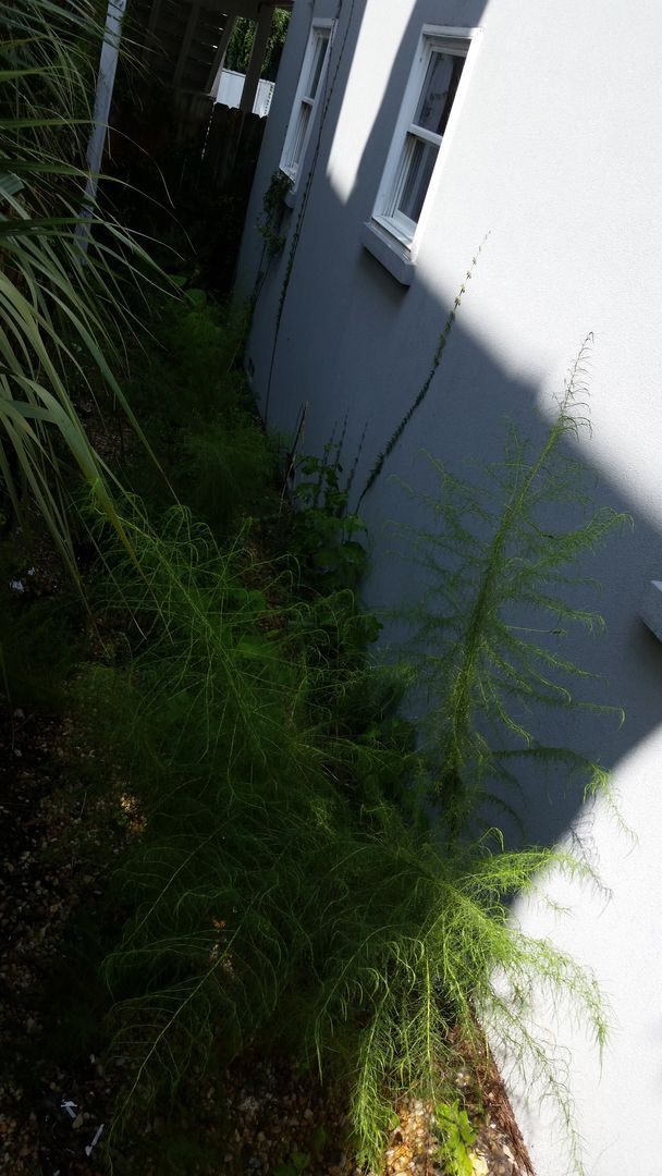 Building Photo - 414 E Park Ave