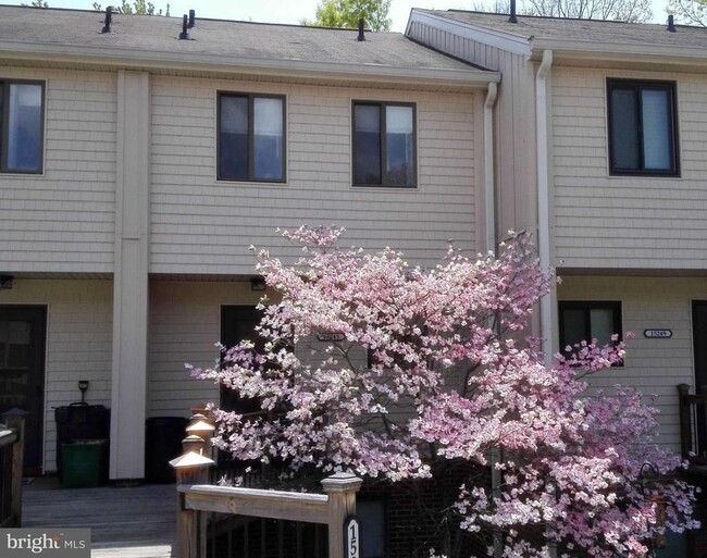 Primary Photo - 15245 Coachman Terrace