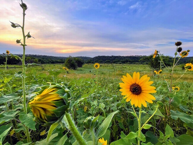 Building Photo - 104 S Tumbleweed Trail