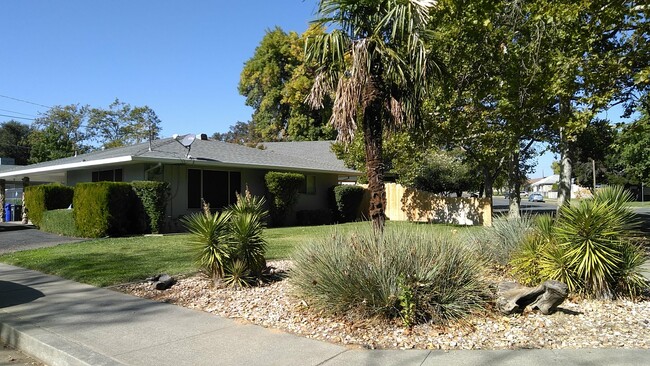 Primary Photo - 1256 Luning St