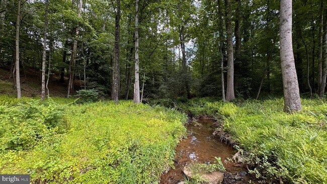 Building Photo - 10899 Woodland Falls Dr