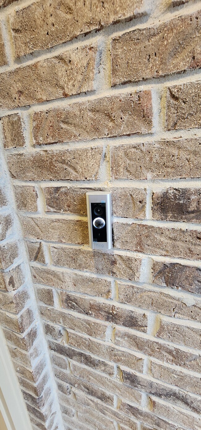 Building Photo - 10029 Little Tree Ln