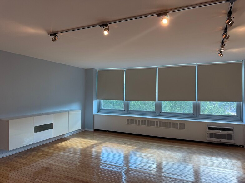 Living Room - 1255 N Sandburg Ter