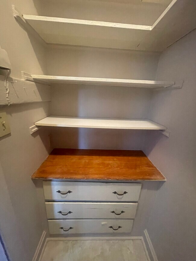 spacious pantry - 5735 N Washtenaw Ave