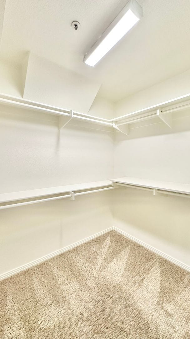 Building Photo - Beautifully Updated Single-Story Home in t...