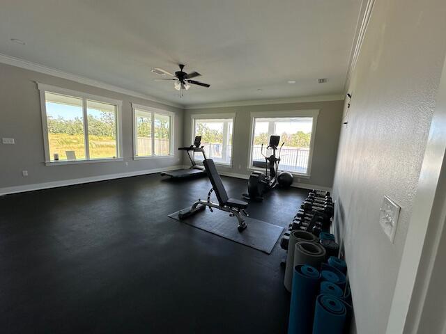 Building Photo - 106 Blackfin Dr