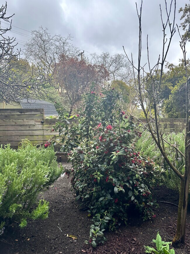 Building Photo - 890 Cragmont Ave