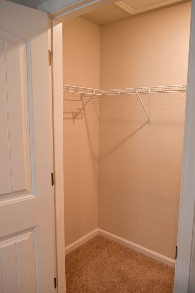 Building Photo - Stunning NEW Townhouse in Heritage Trace!