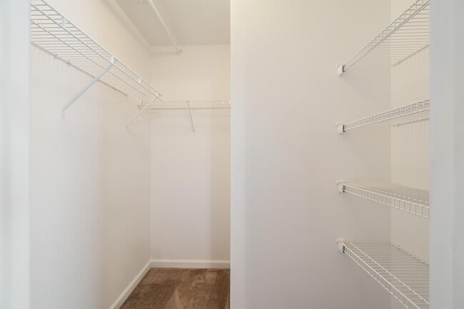 Building Photo - 5117 Cattail Ln