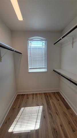 Building Photo - 709 Lowveld Dr