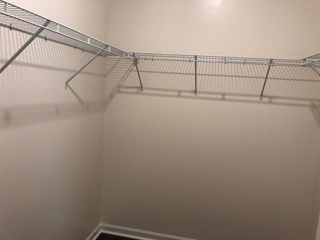 Building Photo - 224 Orion Way