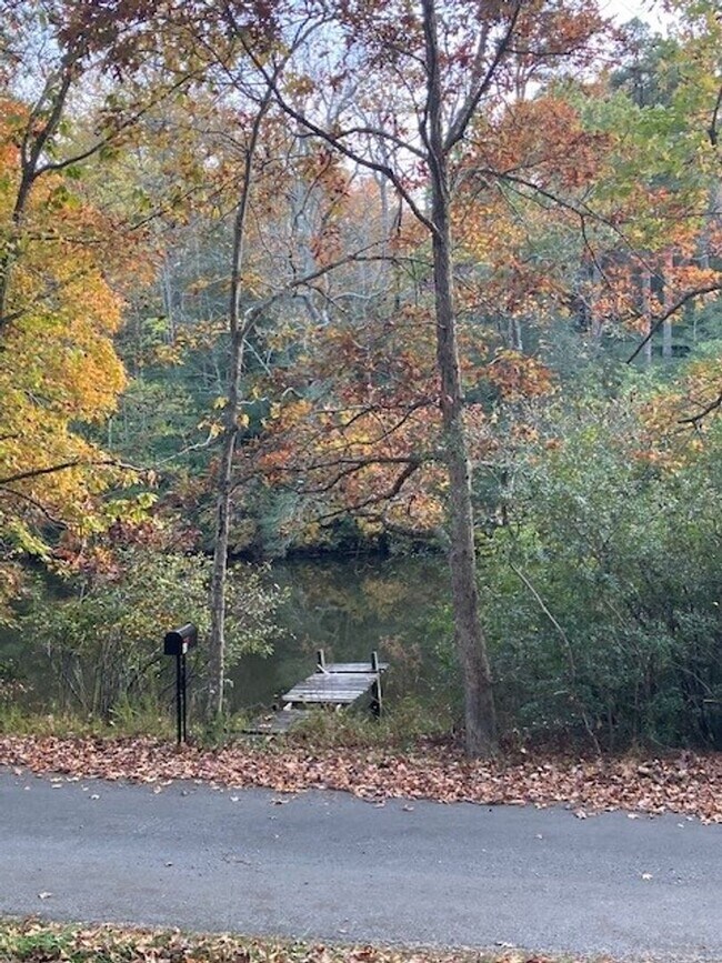 Building Photo - LAKE FRONT PARADISE