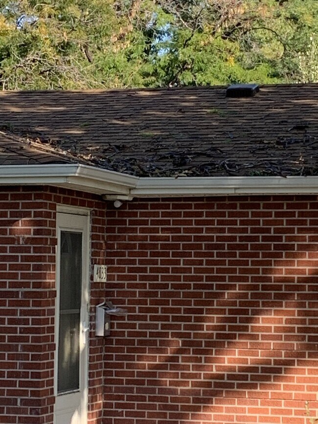 Building Photo - Available August 10 | 1 Bed • 1 Bath • 620 Sq Ft