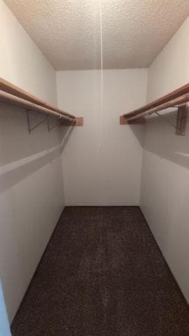 Building Photo - 3705 Fort Hunt Dr
