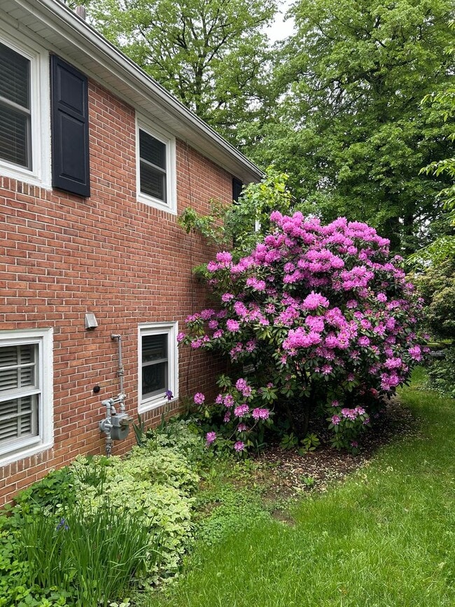 Building Photo - Wyomissing Schools Rental