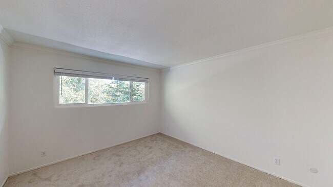 Building Photo - 1004 Ignacio Blvd