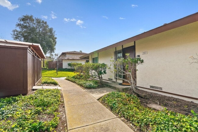 Building Photo - 203 Corte San Pablo