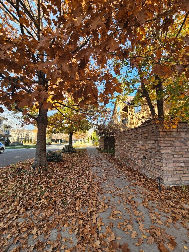 Building Photo - Cherry Creek Beautiful and Bright 1 Bed 1 Bath Condo
