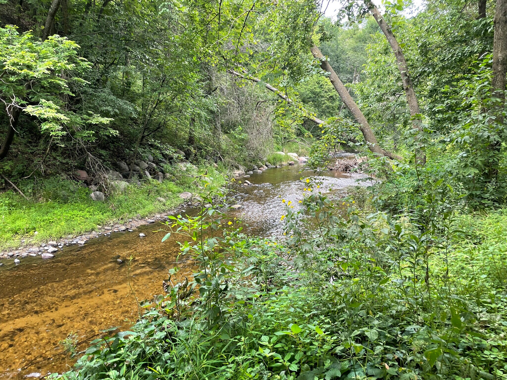 Three blocks from Nine Mile creek - 10909 Russell Ave S