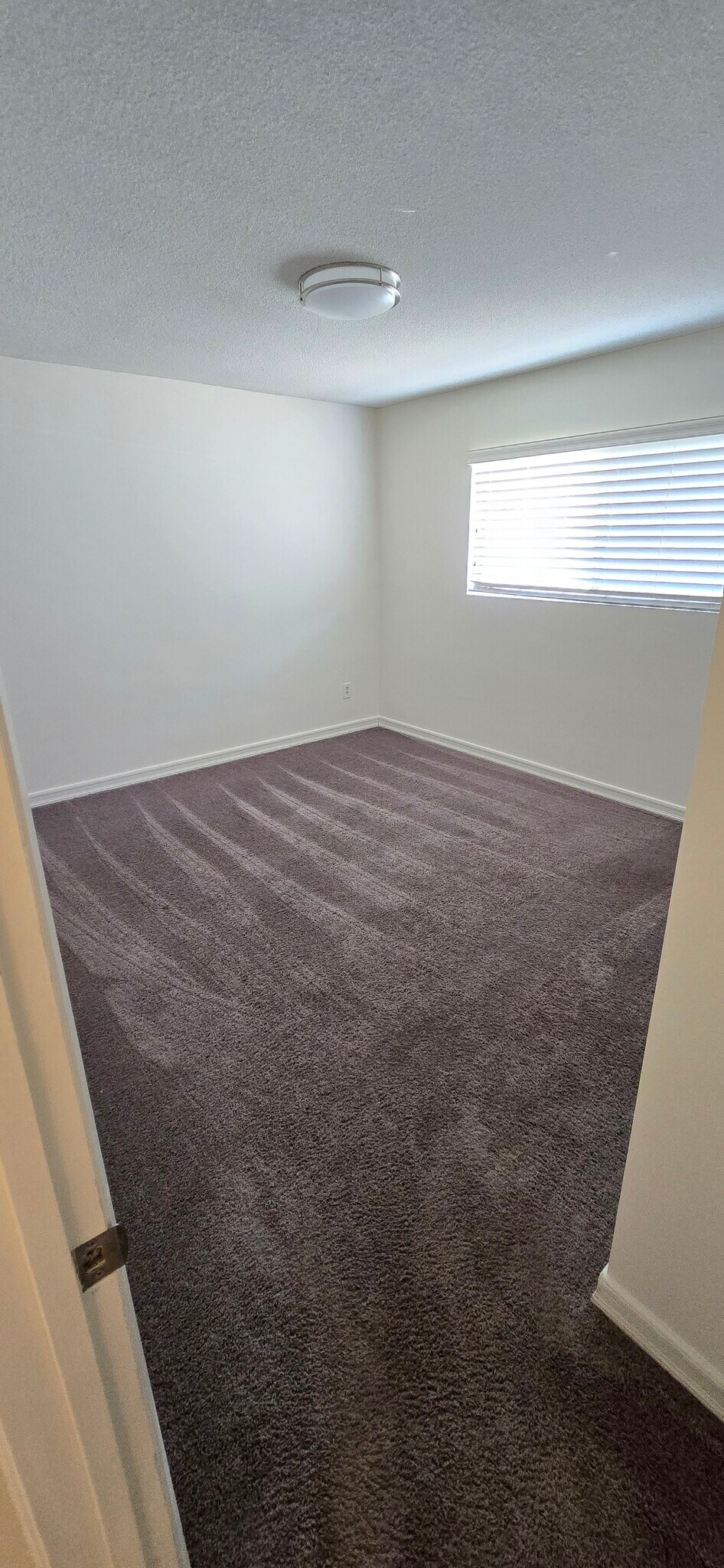 Building Photo - 6013 Poso Ct