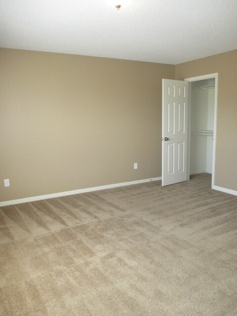 Building Photo - 909 Whitetail Ct