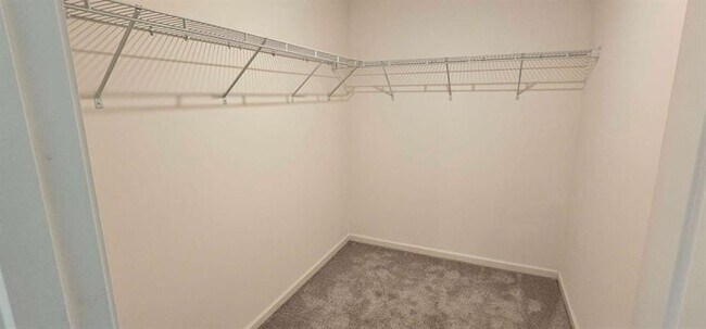 Building Photo - 3488 Cardinal Dr