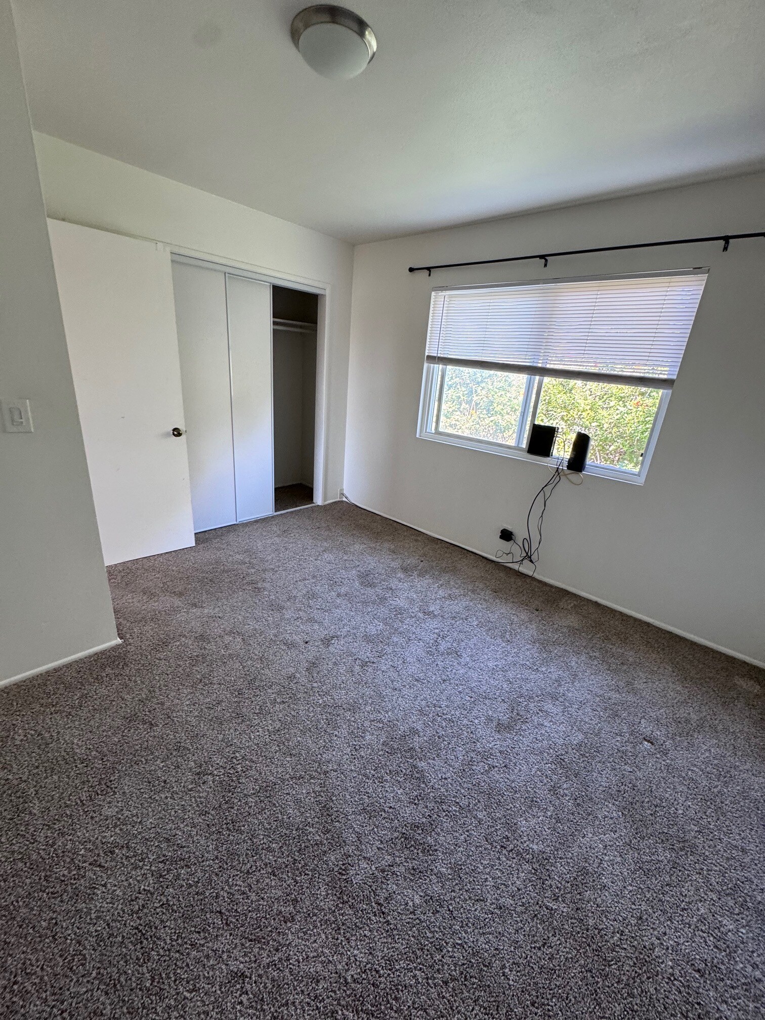 Building Photo - 281 S Evergreen Dr