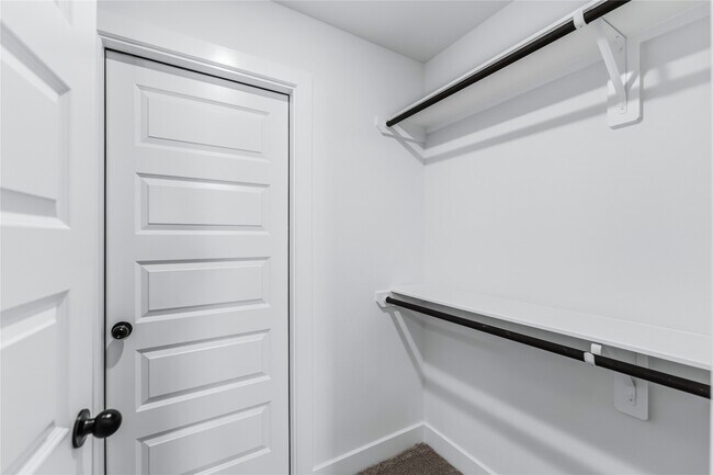 Building Photo - 3125 Stingray Cv Dr