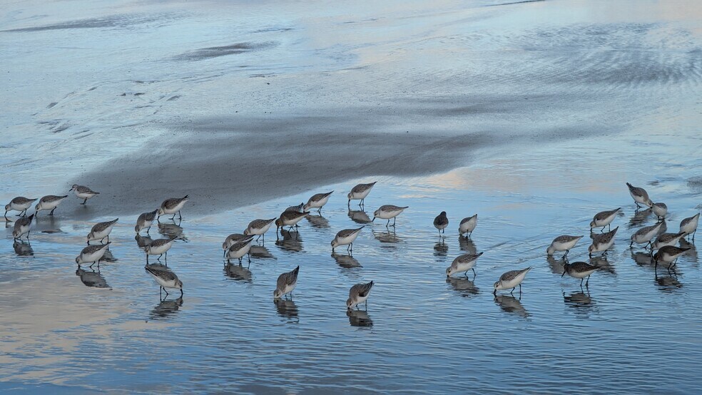 plovers - 66 Railroad Ave