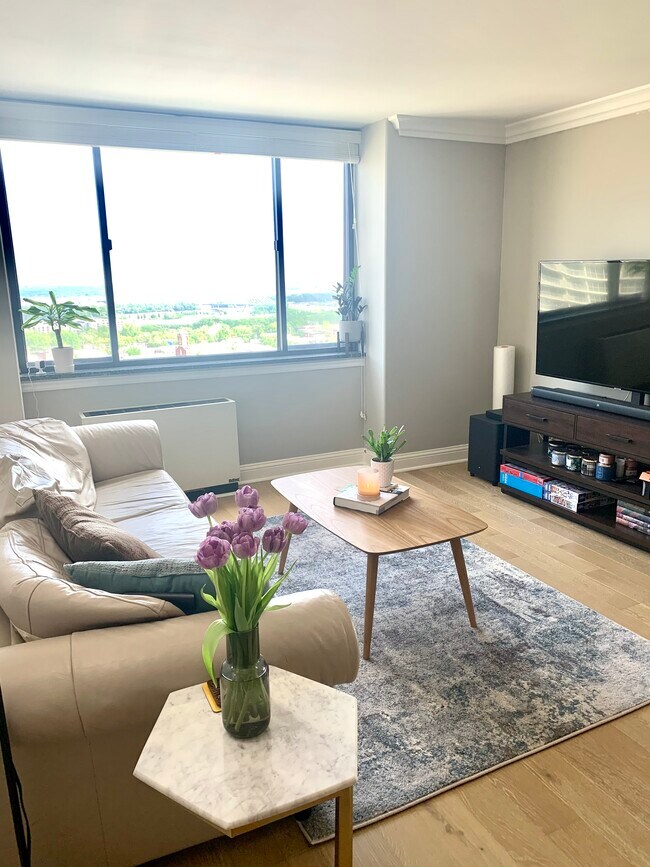 Beautiful views of the Missouri River. - 700 E 8th St