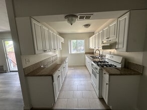Building Photo - Park Tampa Apartments