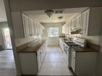 Building Photo - Park Tampa Apartments
