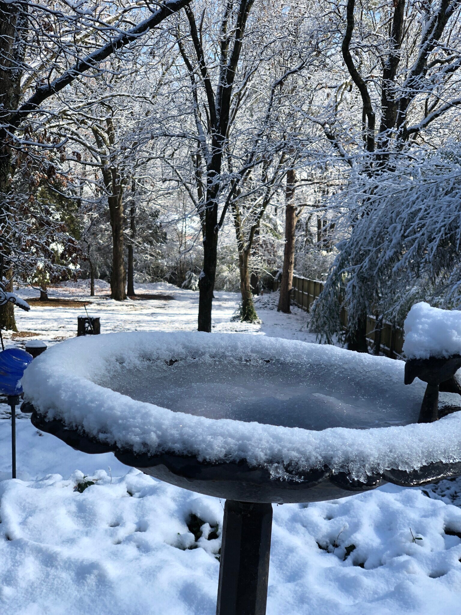 Backyard in winter - 1656 N Broadview Dr