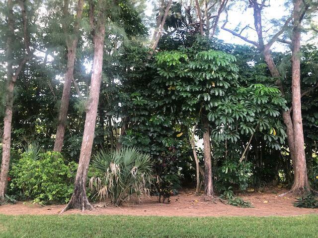 Building Photo - 1262 Sugar Sands Blvd