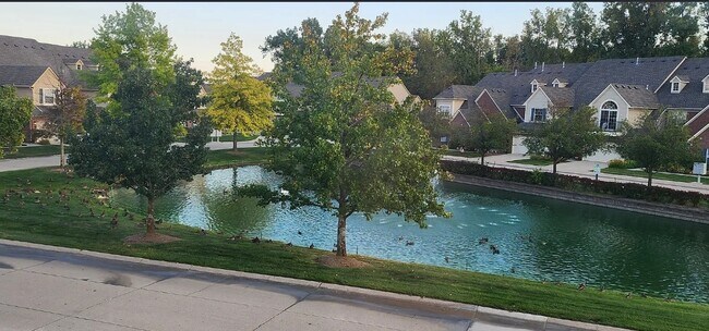 Building Photo - 7869 Ambassador Dr