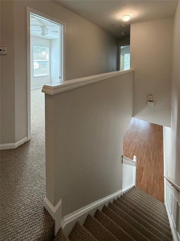 Building Photo - 6485 Ranelagh Dr