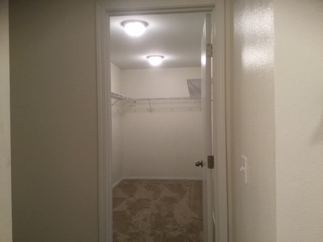 Building Photo - 17314 84th Ave Ct E