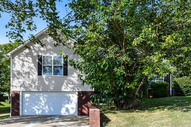 Building Photo - 2920 Bragg Ct