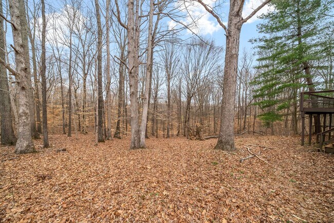 Building Photo - Lovely home on beautiful, wooded corner - Just Reduced