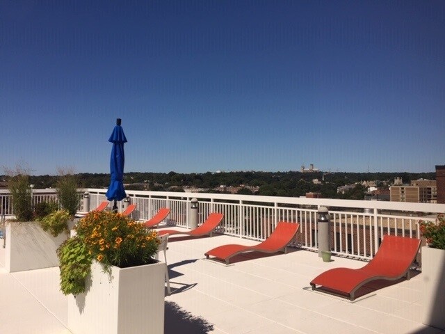 Roof top pool / deck.. - 1260 21st St NW