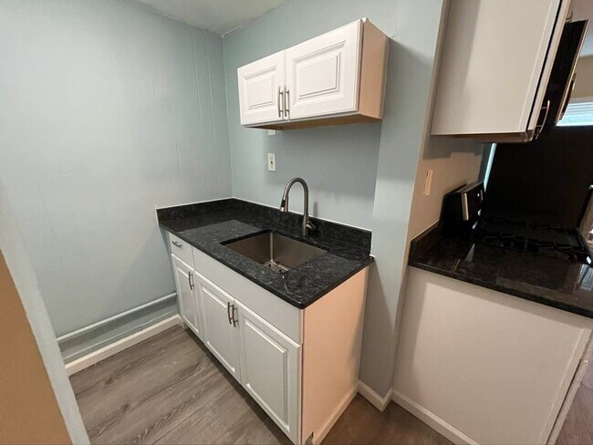 Building Photo - Gorgeous Studio Apartment in Quiet Pittsfield Street