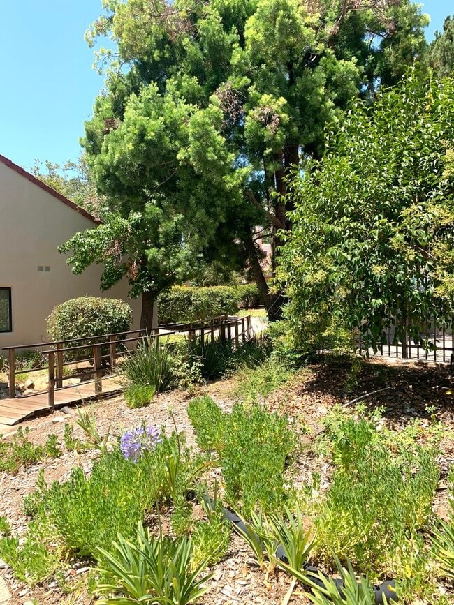 Building Photo - Ojai's Creekside Village Condo!