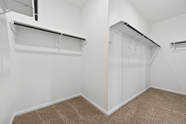 Building Photo - 3903 Giorgio Pastel Pl