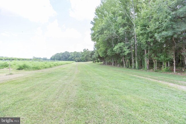 Building Photo - 18136 Pepmeier Hill Rd